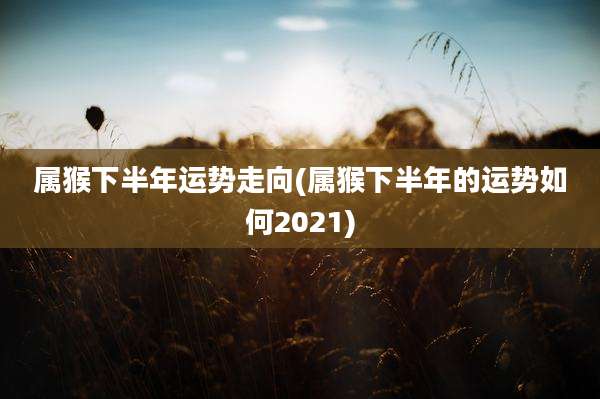 属猴下半年运势走向(属猴下半年的运势如何2021)