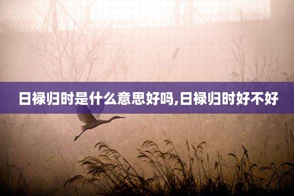 日禄归时是什么意思好吗,日禄归时好不好
