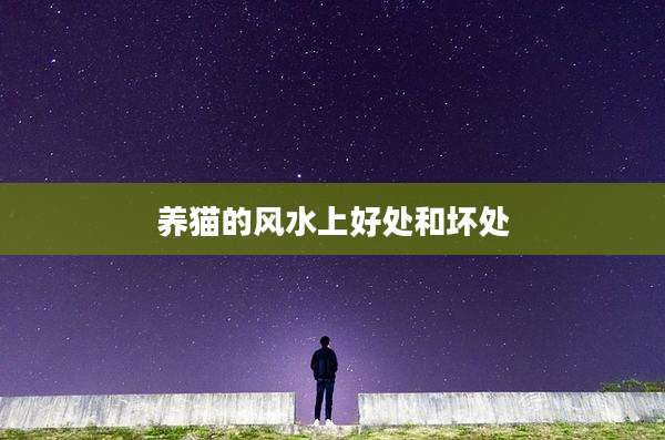 养猫的风水上好处和坏处