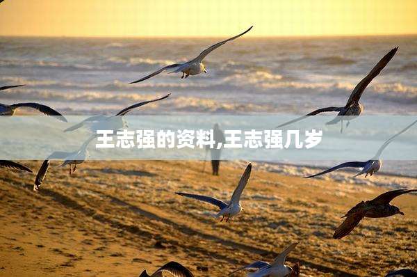 王志强的资料,王志强几岁