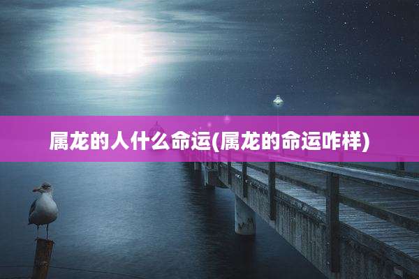属龙的人什么命运(属龙的命运咋样)