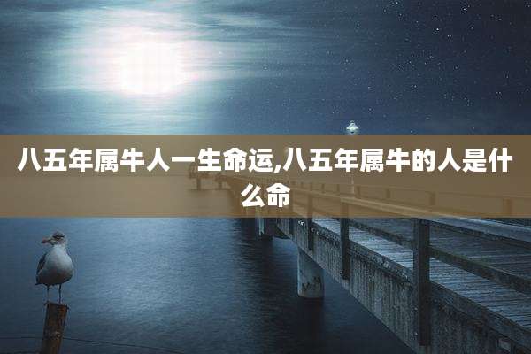 八五年属牛人一生命运,八五年属牛的人是什么命
