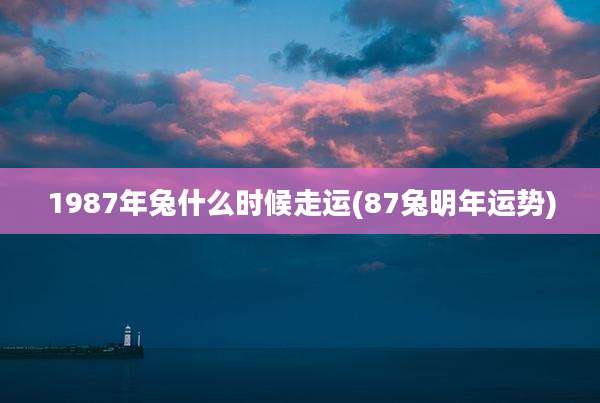 1987年兔什么时候走运(87兔明年运势)