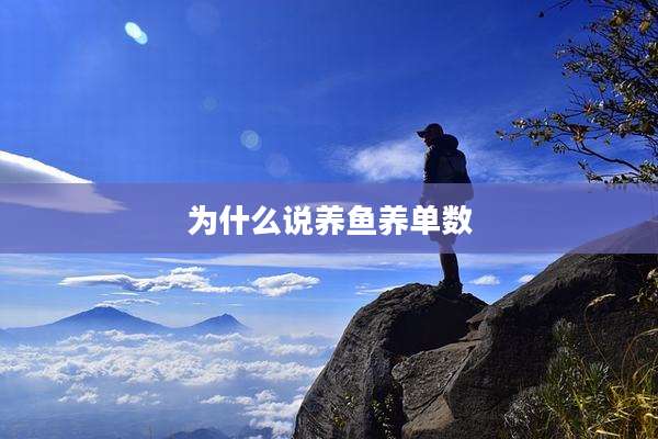 为什么说养鱼养单数