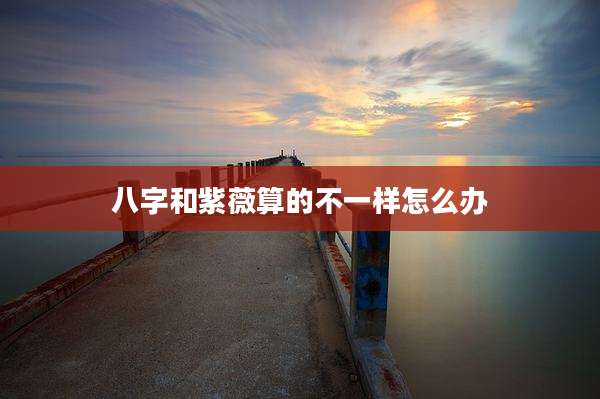 八字和紫薇算的不一样怎么办