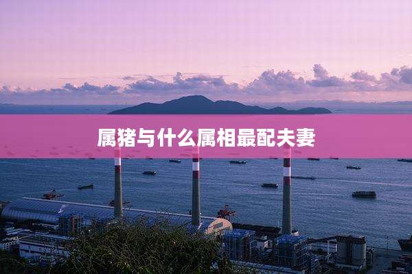 属猪与什么属相最配夫妻