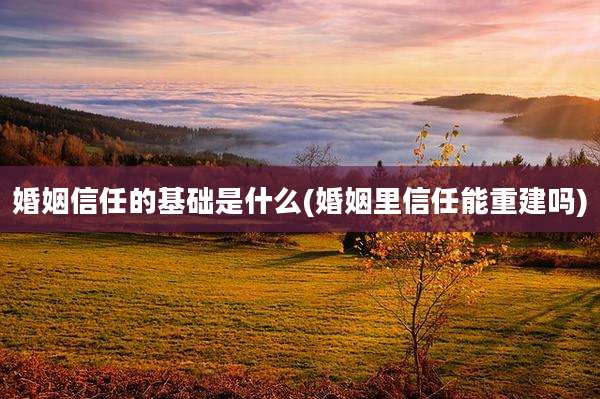婚姻信任的基础是什么(婚姻里信任能重建吗)