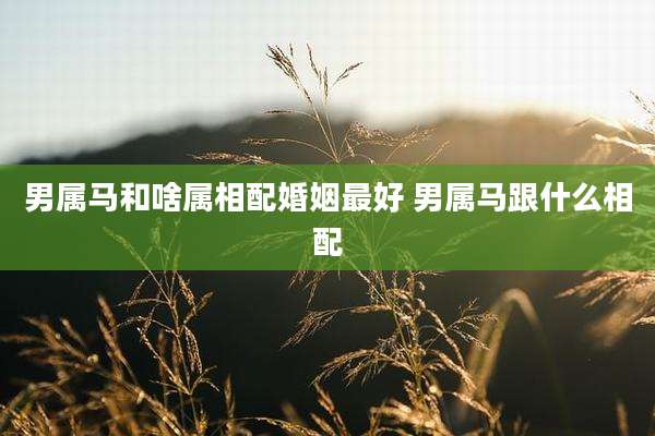 男属马和啥属相配婚姻最好 男属马跟什么相配