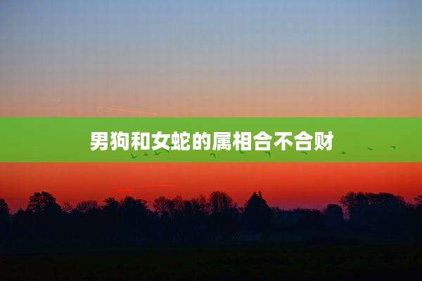 男狗和女蛇的属相合不合财