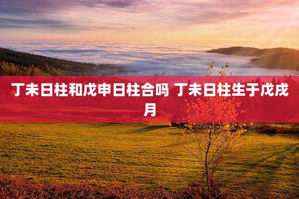 丁未日柱和戊申日柱合吗 丁未日柱生于戊戌月