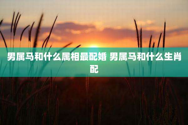 男属马和什么属相最配婚 男属马和什么生肖配