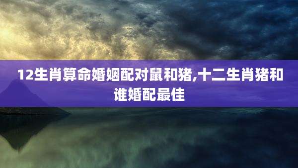 12生肖算命婚姻配对鼠和猪,十二生肖猪和谁婚配最佳