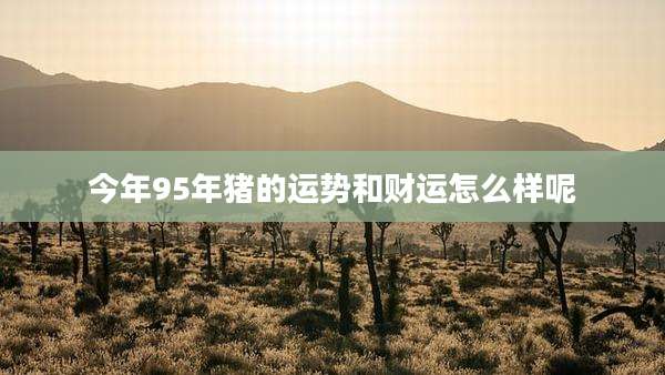 今年95年猪的运势和财运怎么样呢