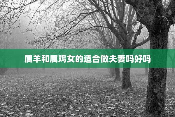 属羊和属鸡女的适合做夫妻吗好吗