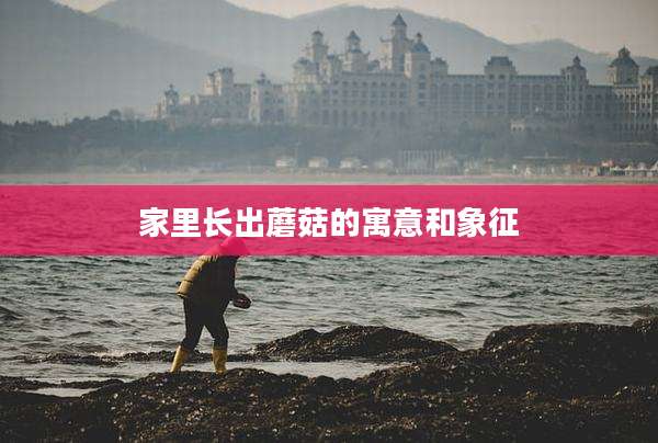 家里长出蘑菇的寓意和象征