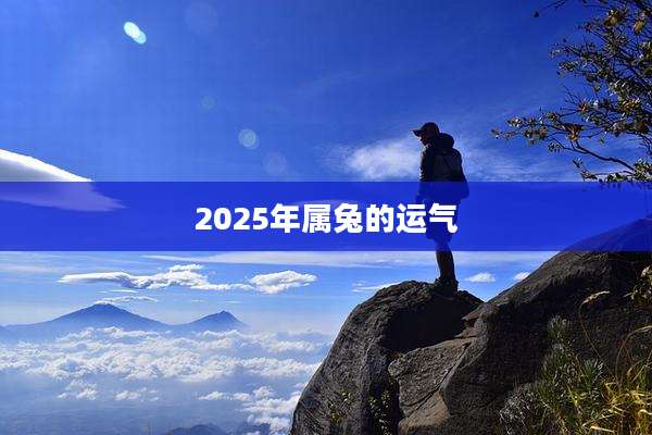 2025年属兔的运气