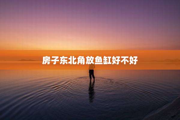 房子东北角放鱼缸好不好