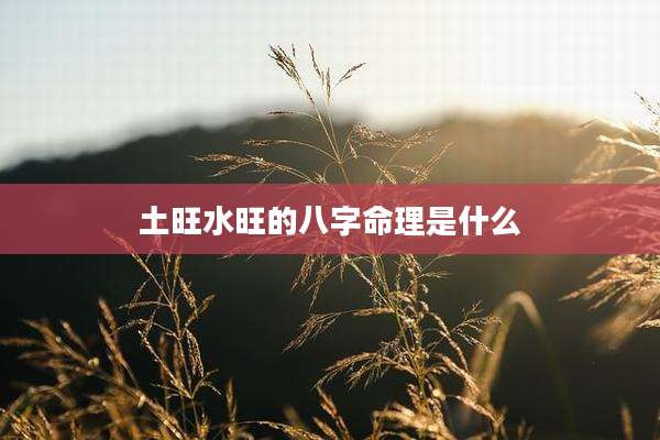土旺水旺的八字命理是什么