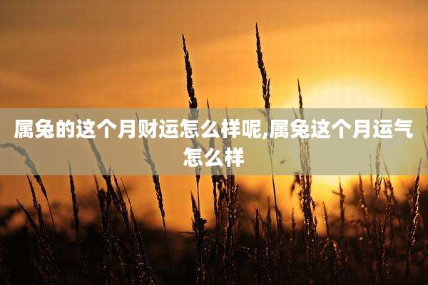 属兔的这个月财运怎么样呢,属兔这个月运气怎么样