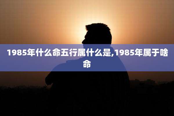 1985年什么命五行属什么是,1985年属于啥命