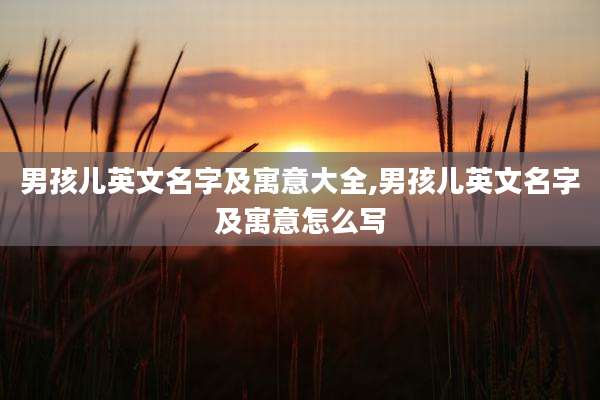 男孩儿英文名字及寓意大全,男孩儿英文名字及寓意怎么写