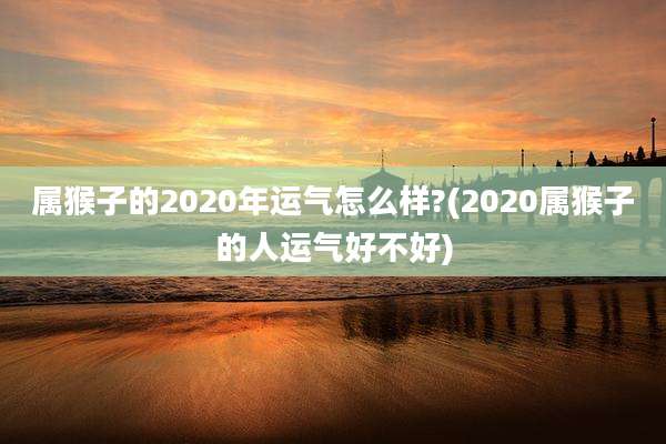 属猴子的2020年运气怎么样?(2020属猴子的人运气好不好)
