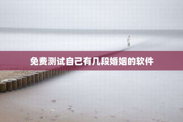 免费测试自己有几段婚姻的软件