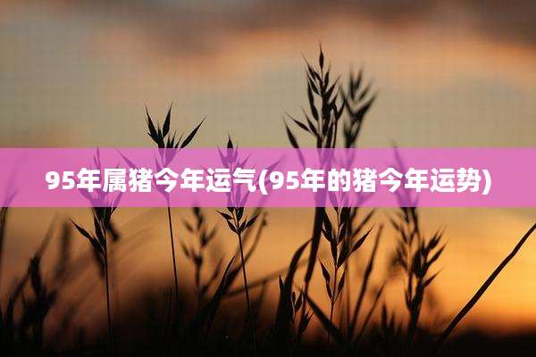 95年属猪今年运气(95年的猪今年运势)