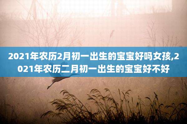2021年农历2月初一出生的宝宝好吗女孩,2021年农历二月初一出生的宝宝好不好