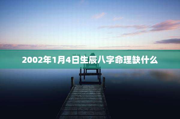 2002年1月4日生辰八字命理缺什么