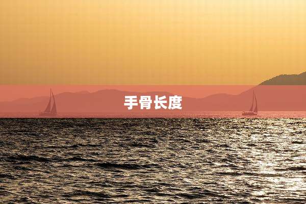 手骨长度