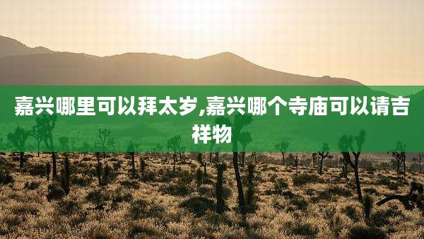 嘉兴哪里可以拜太岁,嘉兴哪个寺庙可以请吉祥物