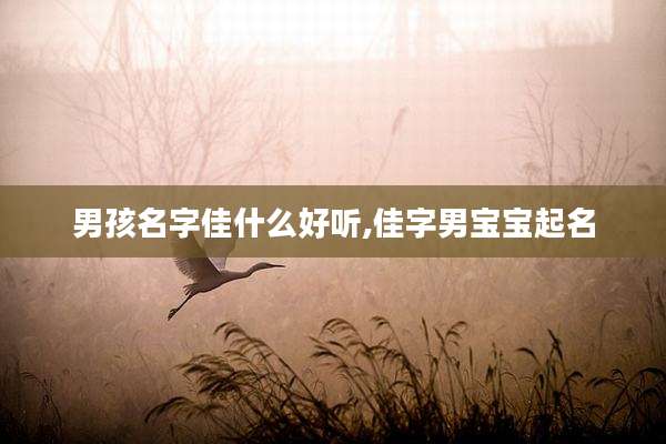 男孩名字佳什么好听,佳字男宝宝起名