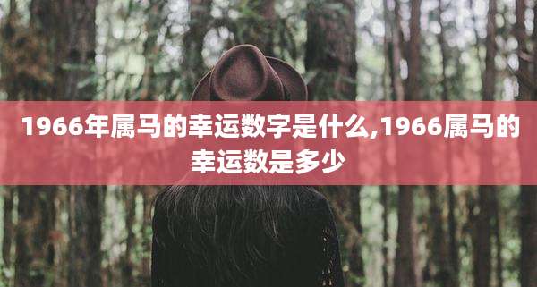 1966年属马的幸运数字是什么,1966属马的幸运数是多少