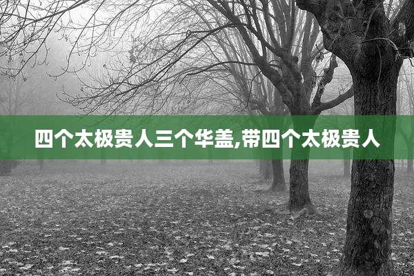 四个太极贵人三个华盖,带四个太极贵人