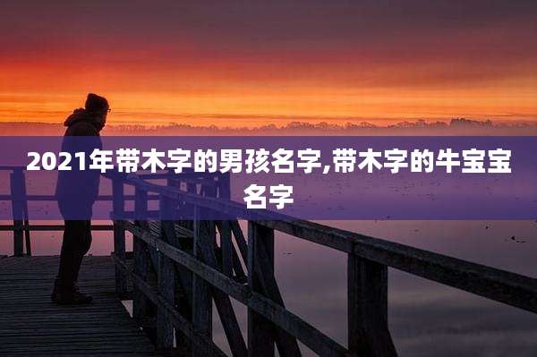 2021年带木字的男孩名字,带木字的牛宝宝名字
