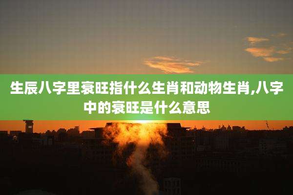 生辰八字里衰旺指什么生肖和动物生肖,八字中的衰旺是什么意思