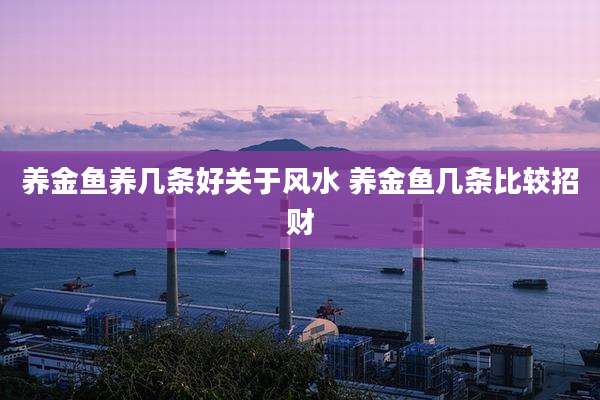 养金鱼养几条好关于风水 养金鱼几条比较招财