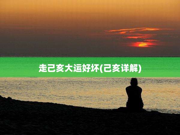 走己亥大运好坏(己亥详解)