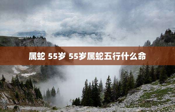 属蛇 55岁 55岁属蛇五行什么命