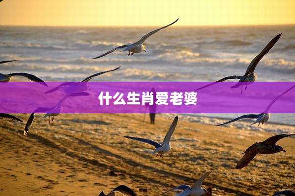 什么生肖爱老婆