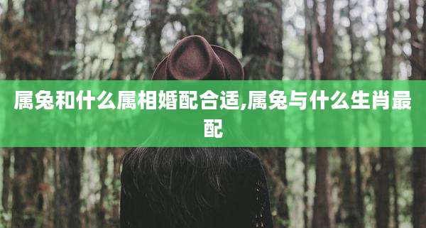属兔和什么属相婚配合适,属兔与什么生肖最配