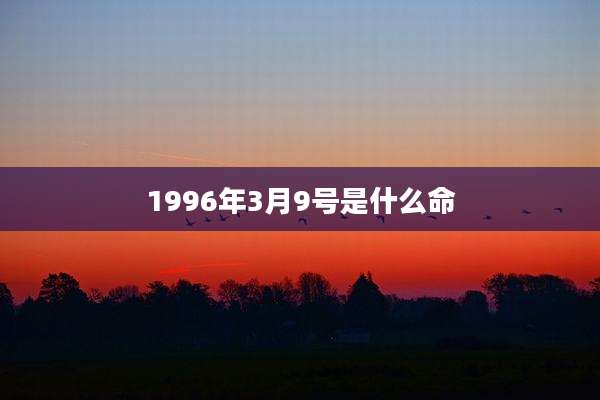1996年3月9号是什么命