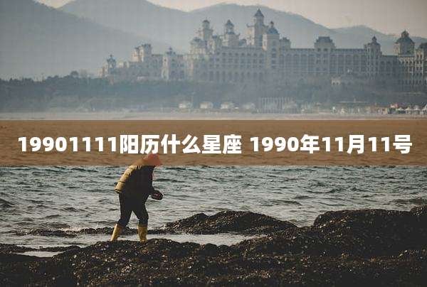 19901111阳历什么星座 1990年11月11号