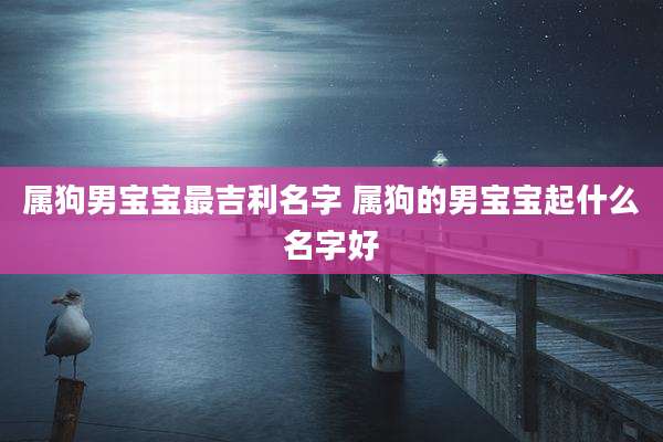 属狗男宝宝最吉利名字 属狗的男宝宝起什么名字好