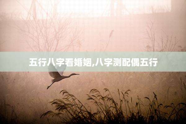 五行八字看婚姻,八字测配偶五行
