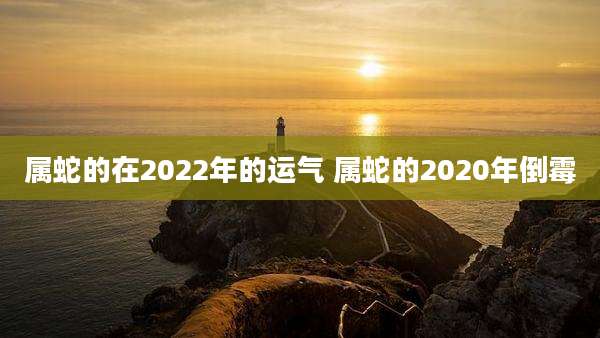 属蛇的在2022年的运气 属蛇的2020年倒霉