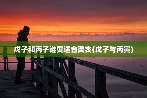 戊子和丙子谁更适合癸亥(戊子与丙寅)