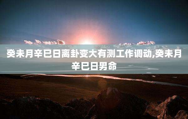 癸未月辛巳日离卦变大有测工作调动,癸未月辛巳日男命