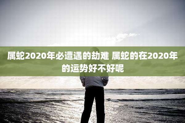 属蛇2020年必遭遇的劫难 属蛇的在2020年的运势好不好呢